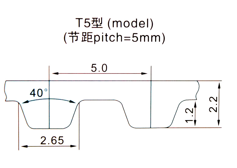 T5